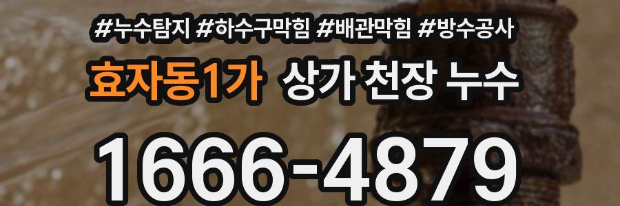 효자동1가 상가 천장 누수