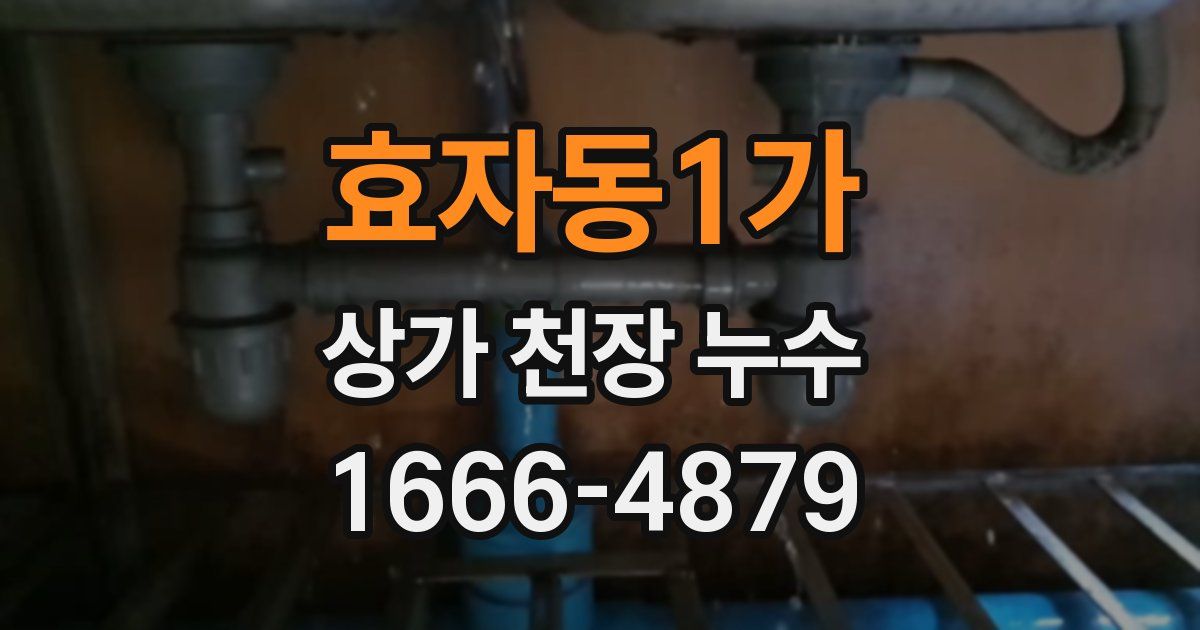 효자동1가 상가 천장 누수