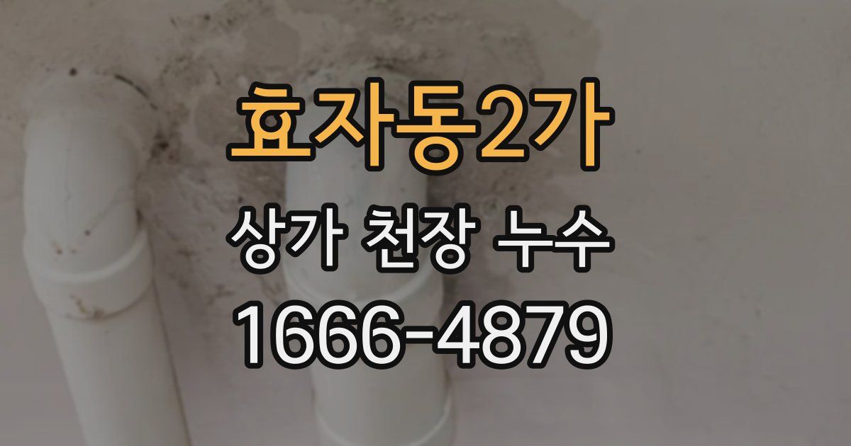 효자동2가 상가 천장 누수