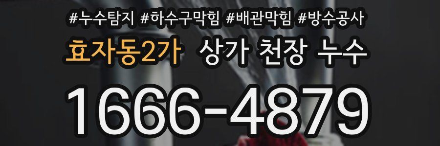 효자동2가 상가 천장 누수