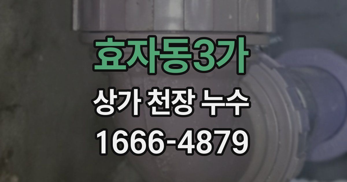 효자동3가 상가 천장 누수