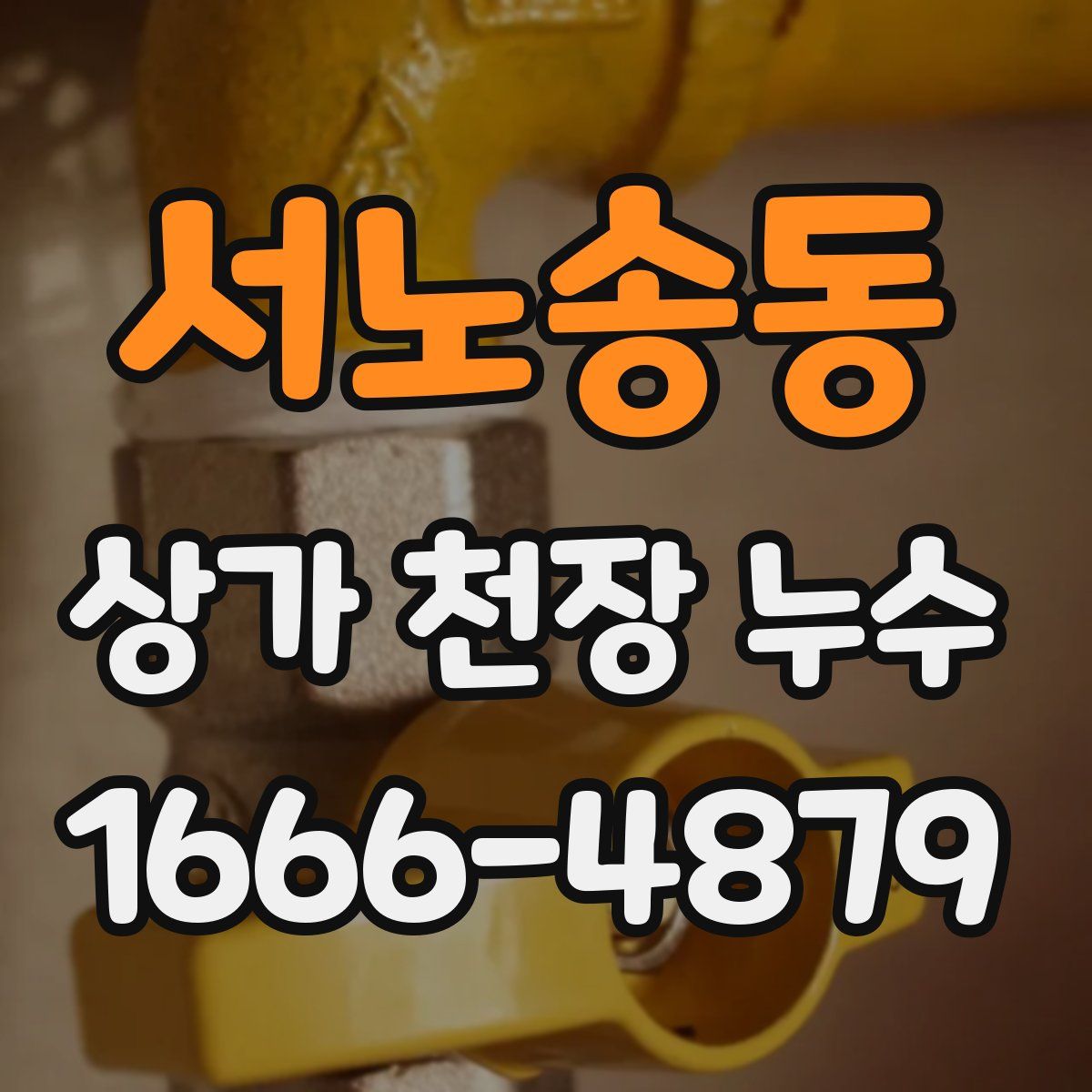 서노송동 상가 천장 누수