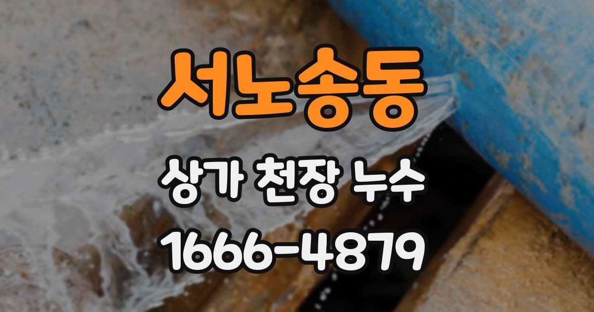 서노송동 상가 천장 누수