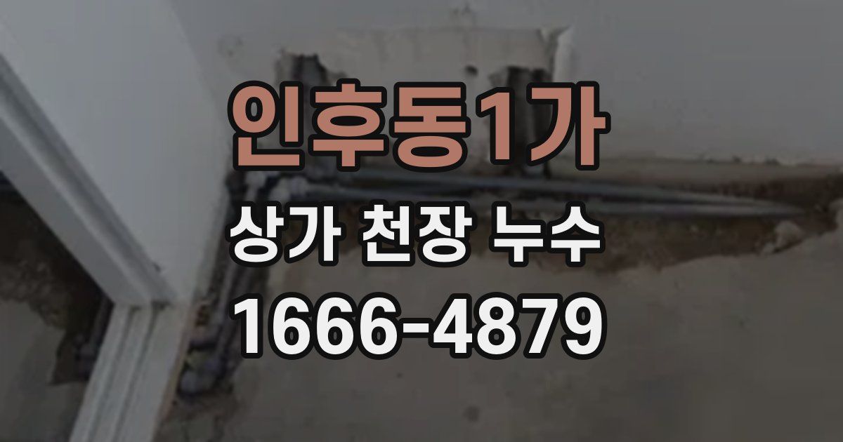 인후동1가 상가 천장 누수