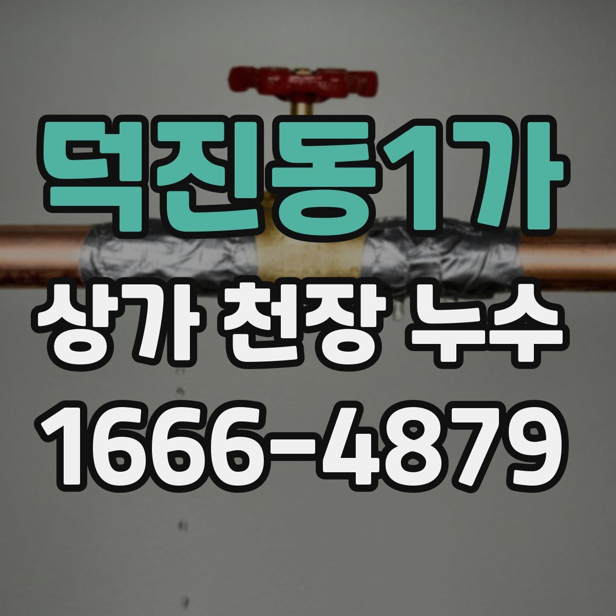 덕진동1가 상가 천장 누수