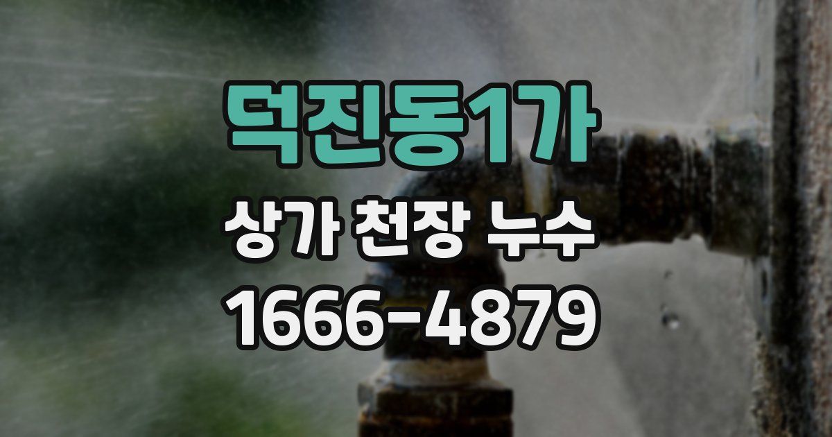 덕진동1가 상가 천장 누수