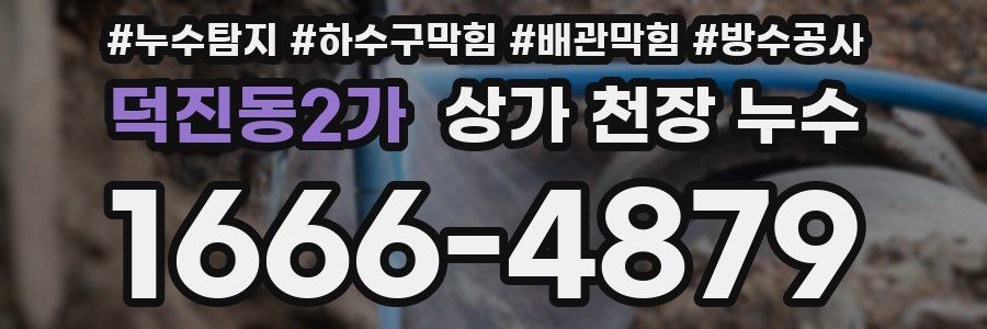 덕진동2가 상가 천장 누수
