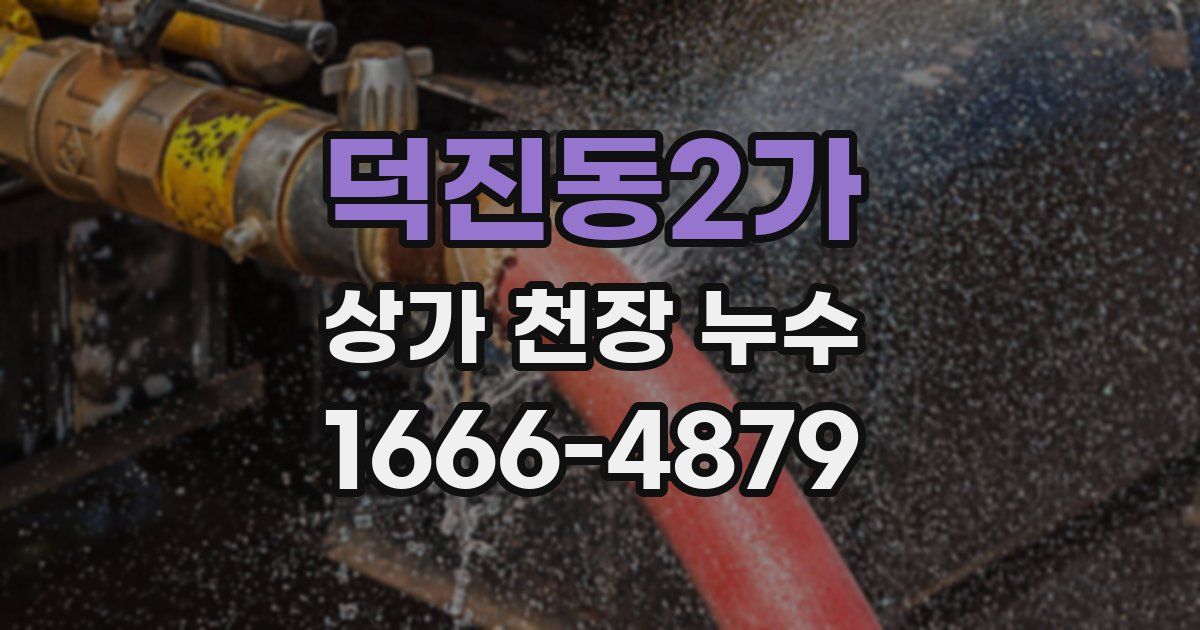 덕진동2가 상가 천장 누수