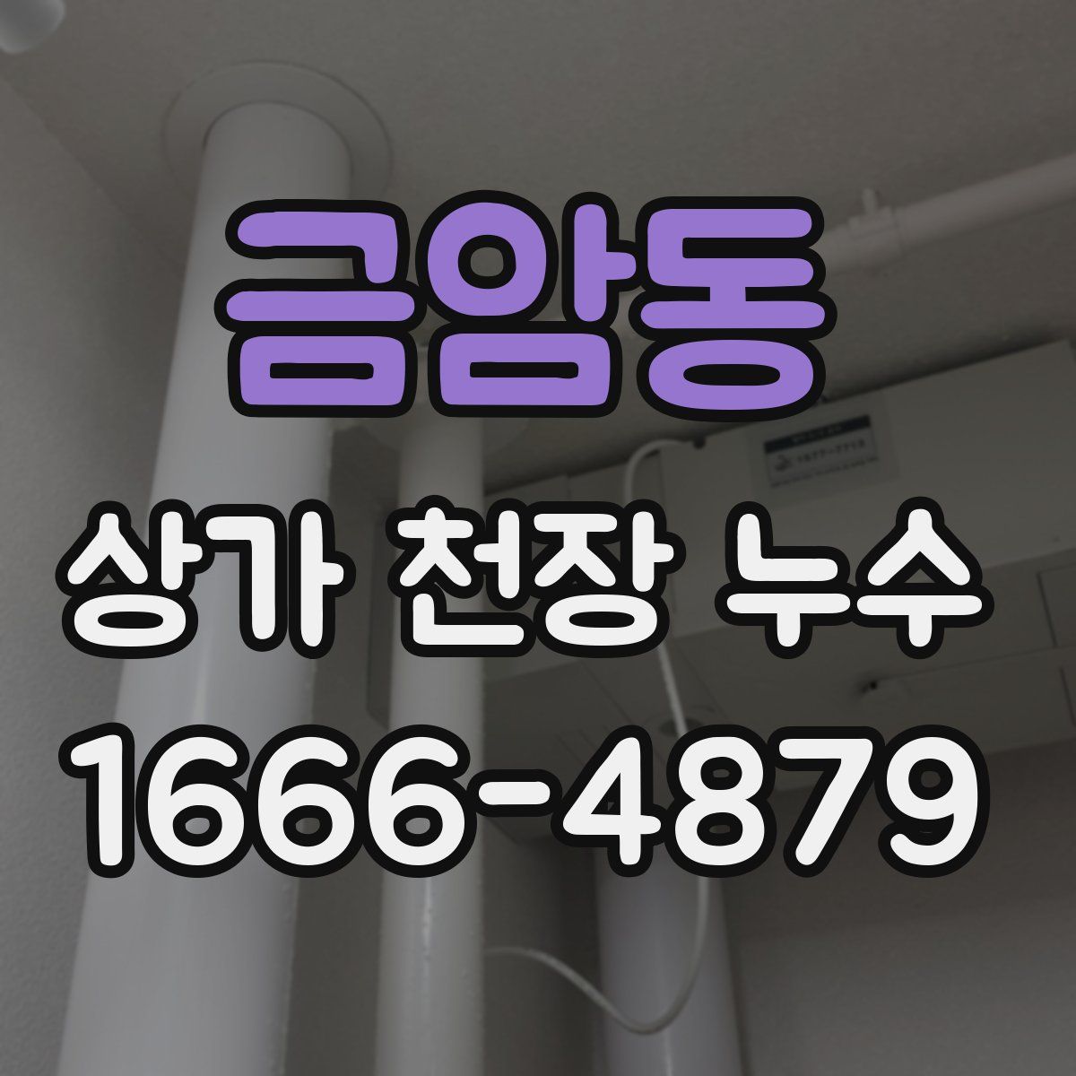 금암동 상가 천장 누수