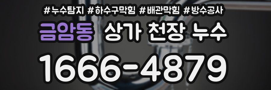 금암동 상가 천장 누수