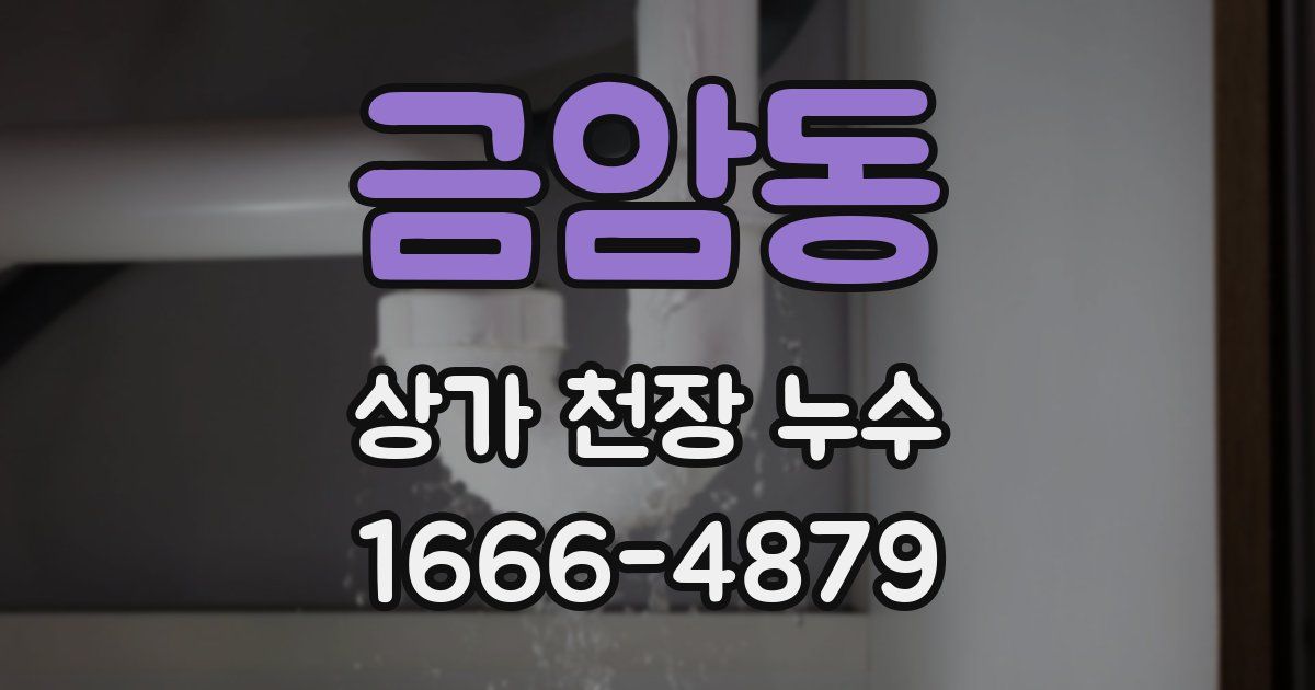 금암동 상가 천장 누수
