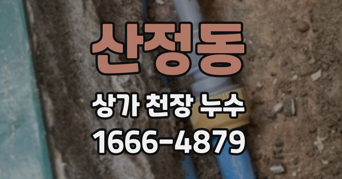 산정동 상가 천장 누수