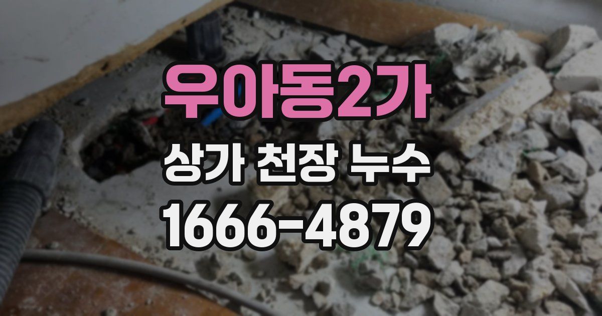 우아동2가 상가 천장 누수