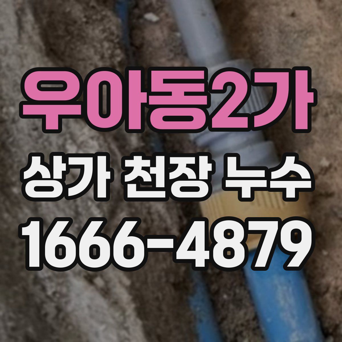 우아동2가 상가 천장 누수