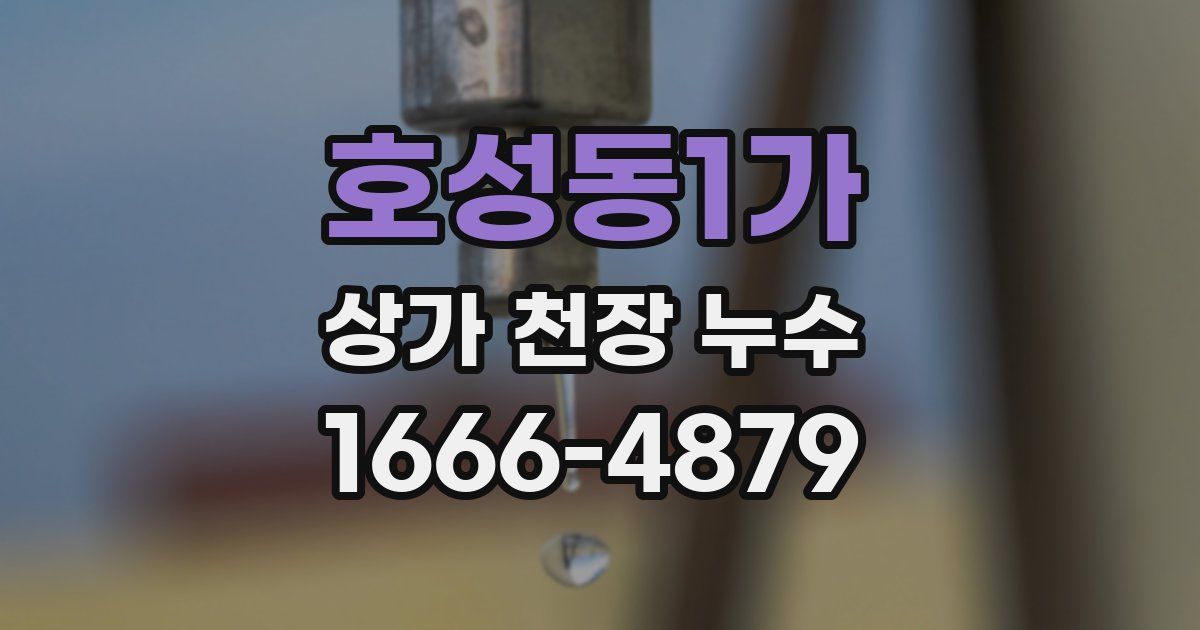 호성동1가 상가 천장 누수