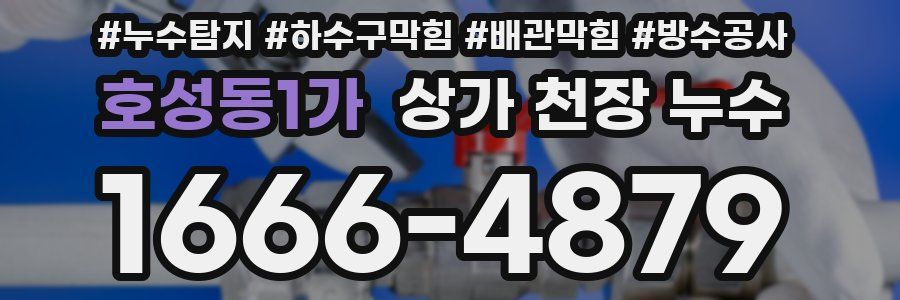 호성동1가 상가 천장 누수