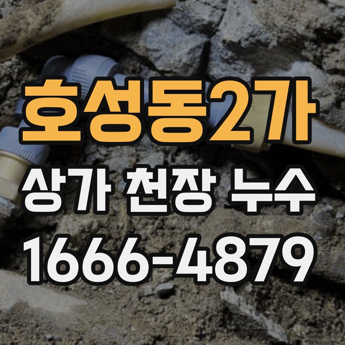 호성동2가 상가 천장 누수