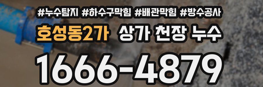 호성동2가 상가 천장 누수