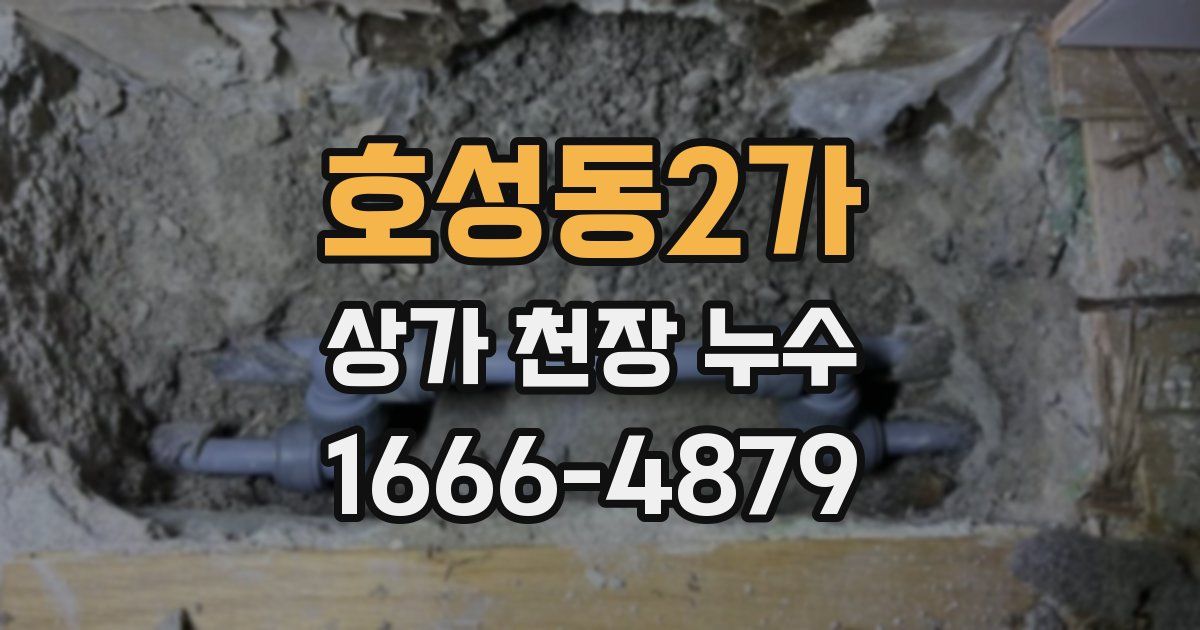 호성동2가 상가 천장 누수