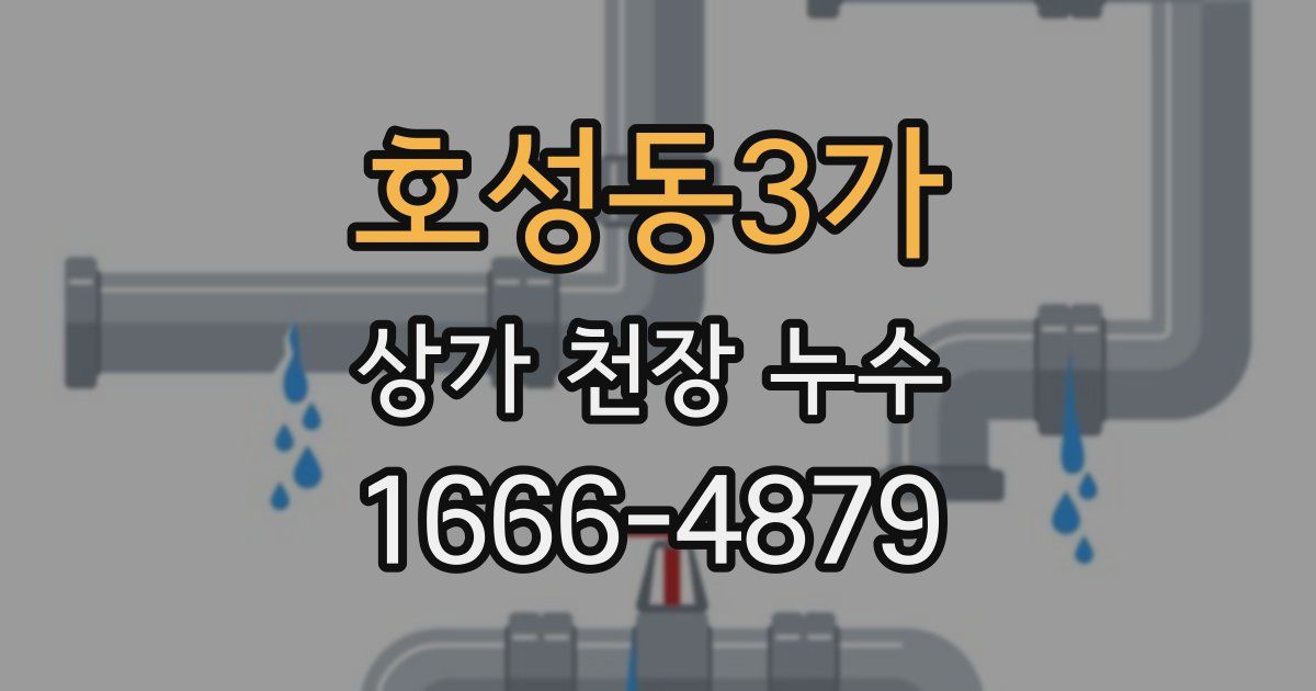 호성동3가 상가 천장 누수