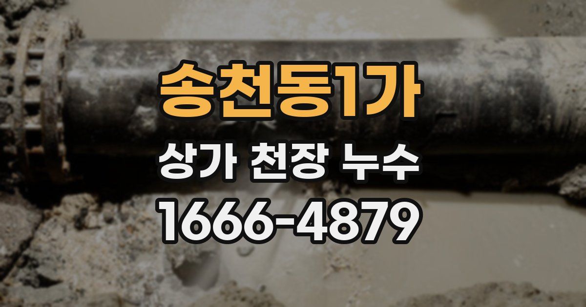 송천동1가 상가 천장 누수