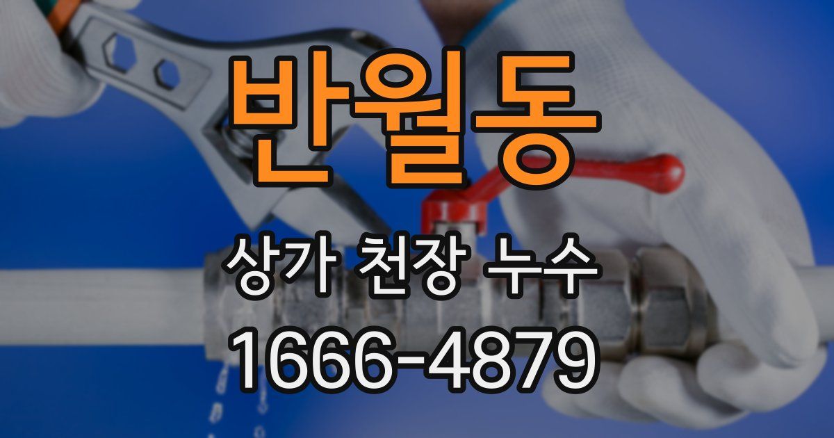 반월동 상가 천장 누수