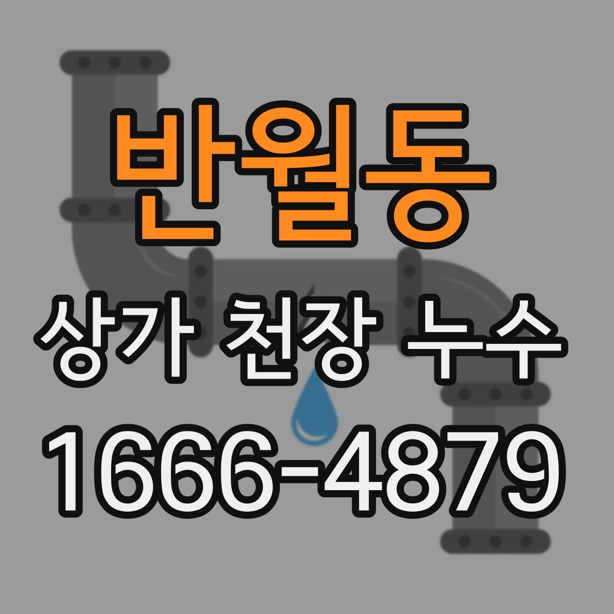 반월동 상가 천장 누수