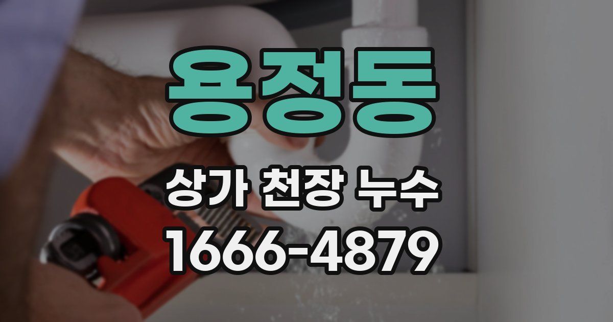 용정동 상가 천장 누수