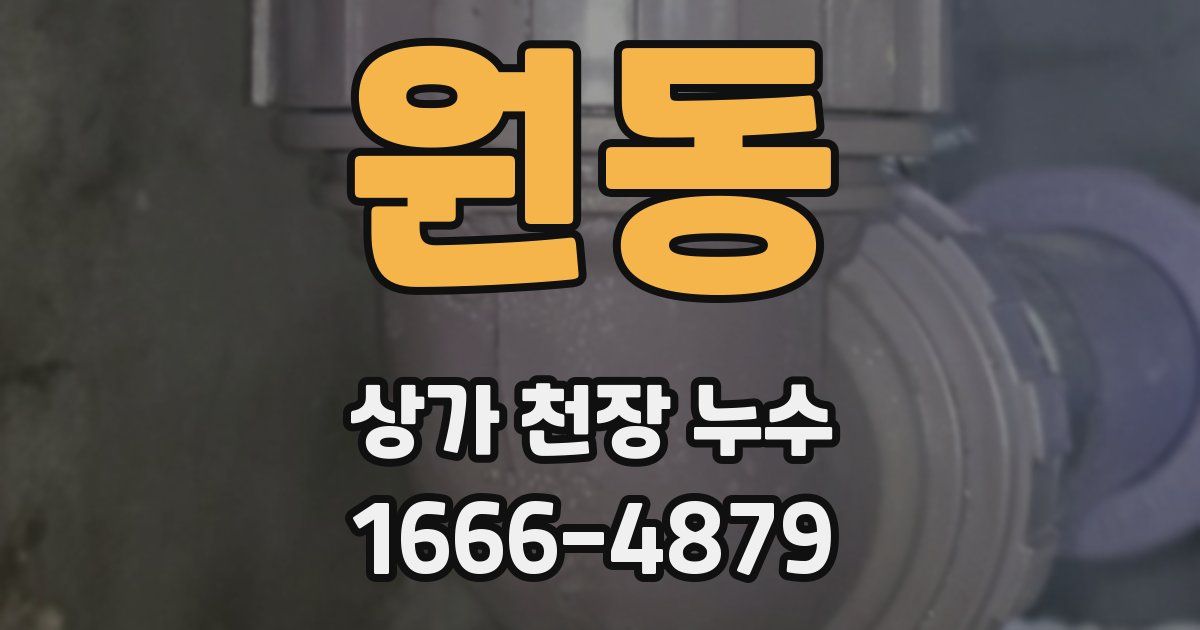 원동 상가 천장 누수