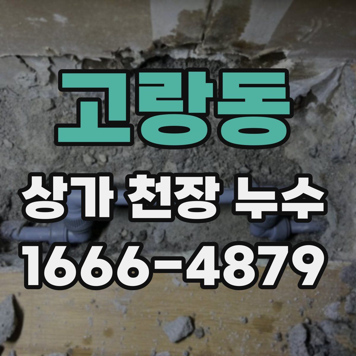 고랑동 상가 천장 누수