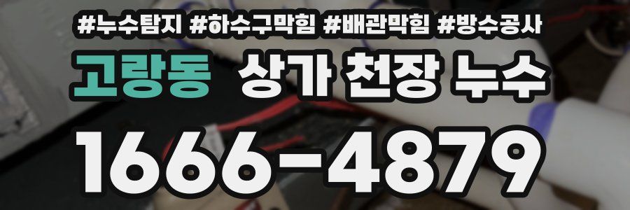 고랑동 상가 천장 누수