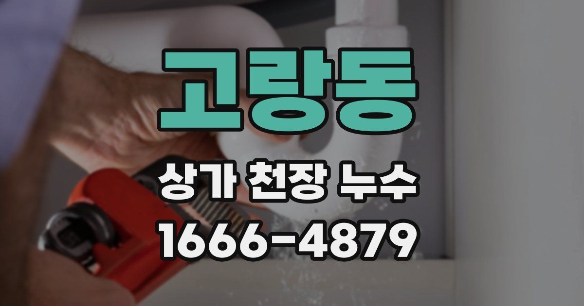 고랑동 상가 천장 누수