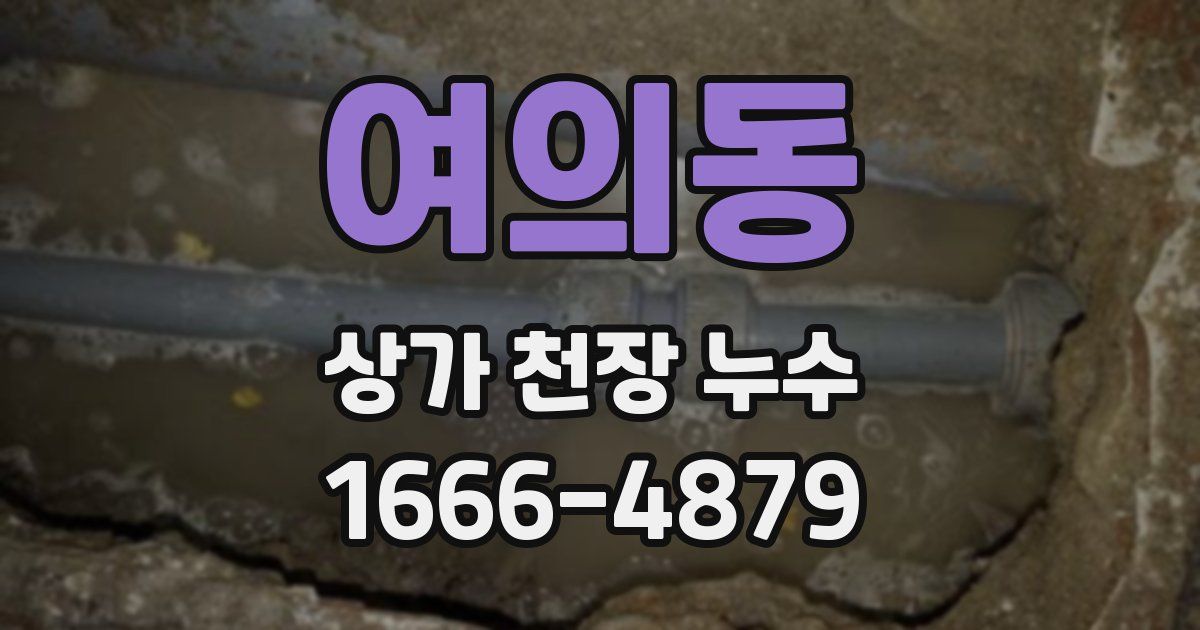 여의동 상가 천장 누수