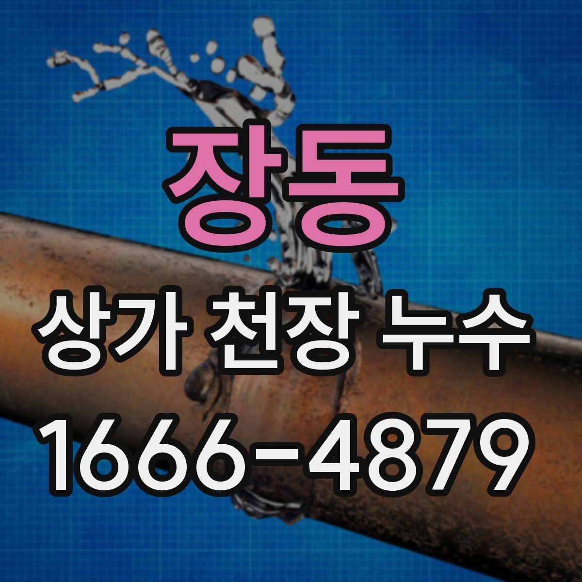 장동 상가 천장 누수