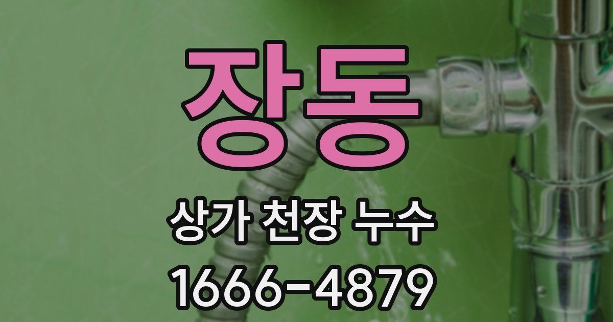 장동 상가 천장 누수