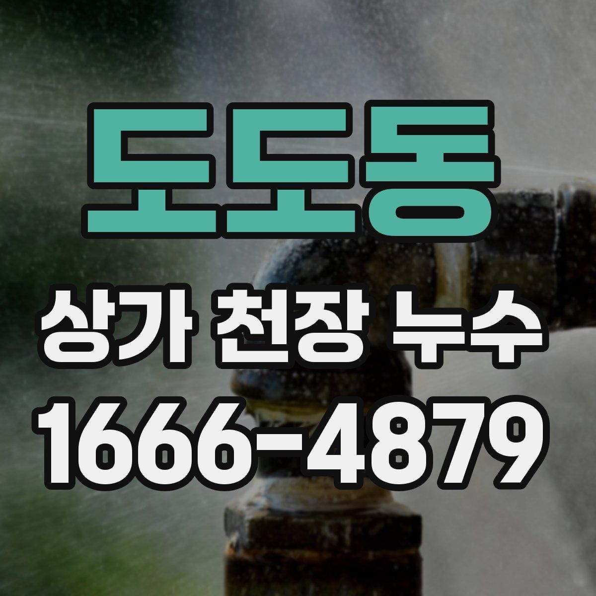 도도동 상가 천장 누수