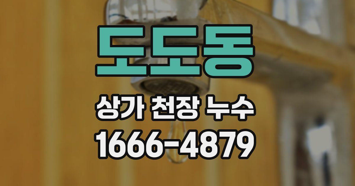 도도동 상가 천장 누수