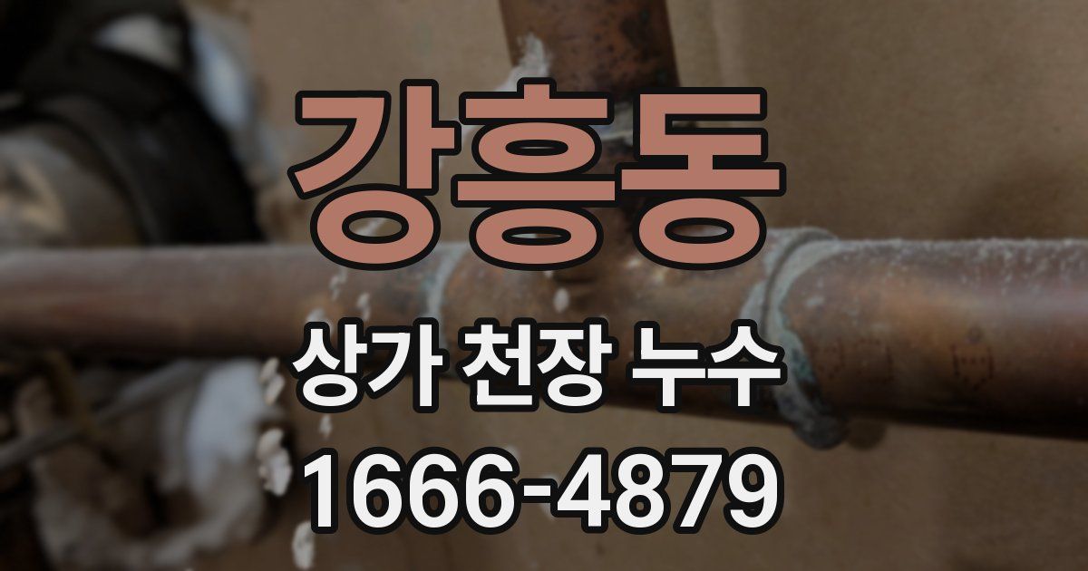 강흥동 상가 천장 누수