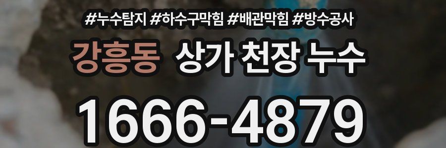 강흥동 상가 천장 누수