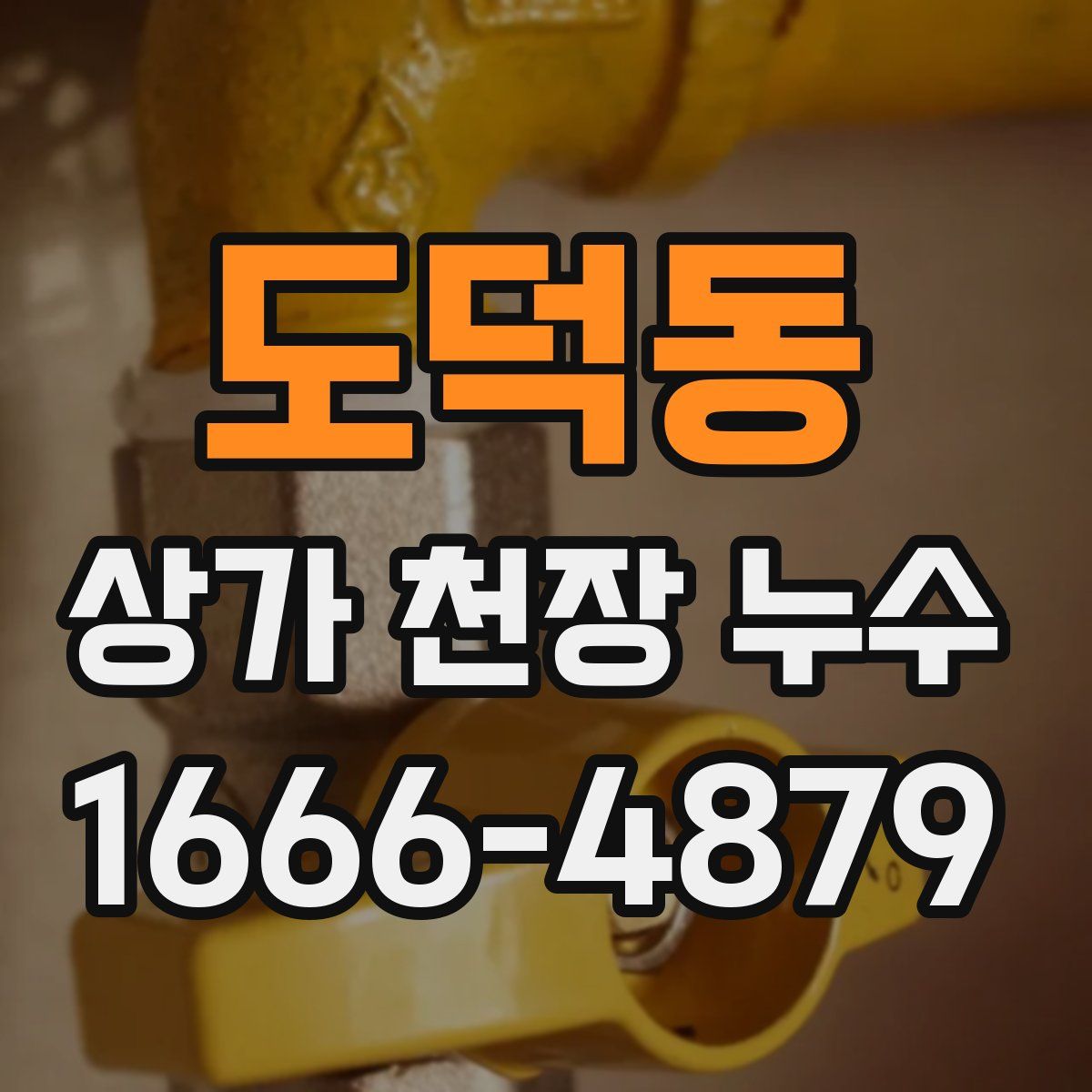 도덕동 상가 천장 누수