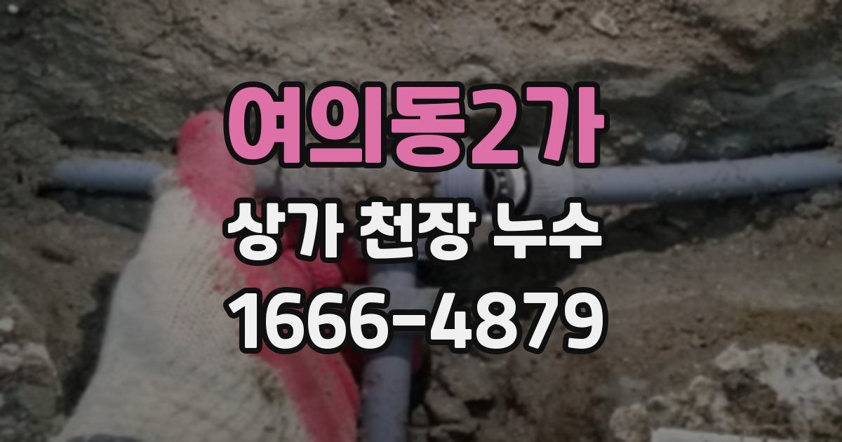 여의동2가 상가 천장 누수
