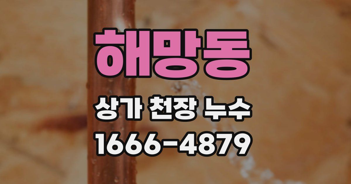 해망동 상가 천장 누수