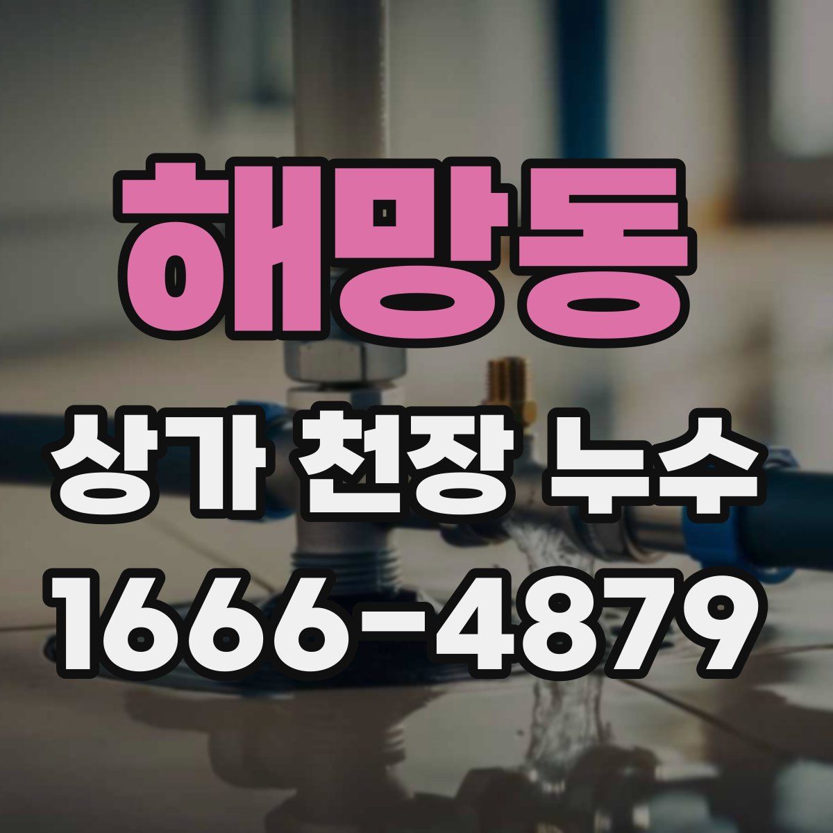 해망동 상가 천장 누수