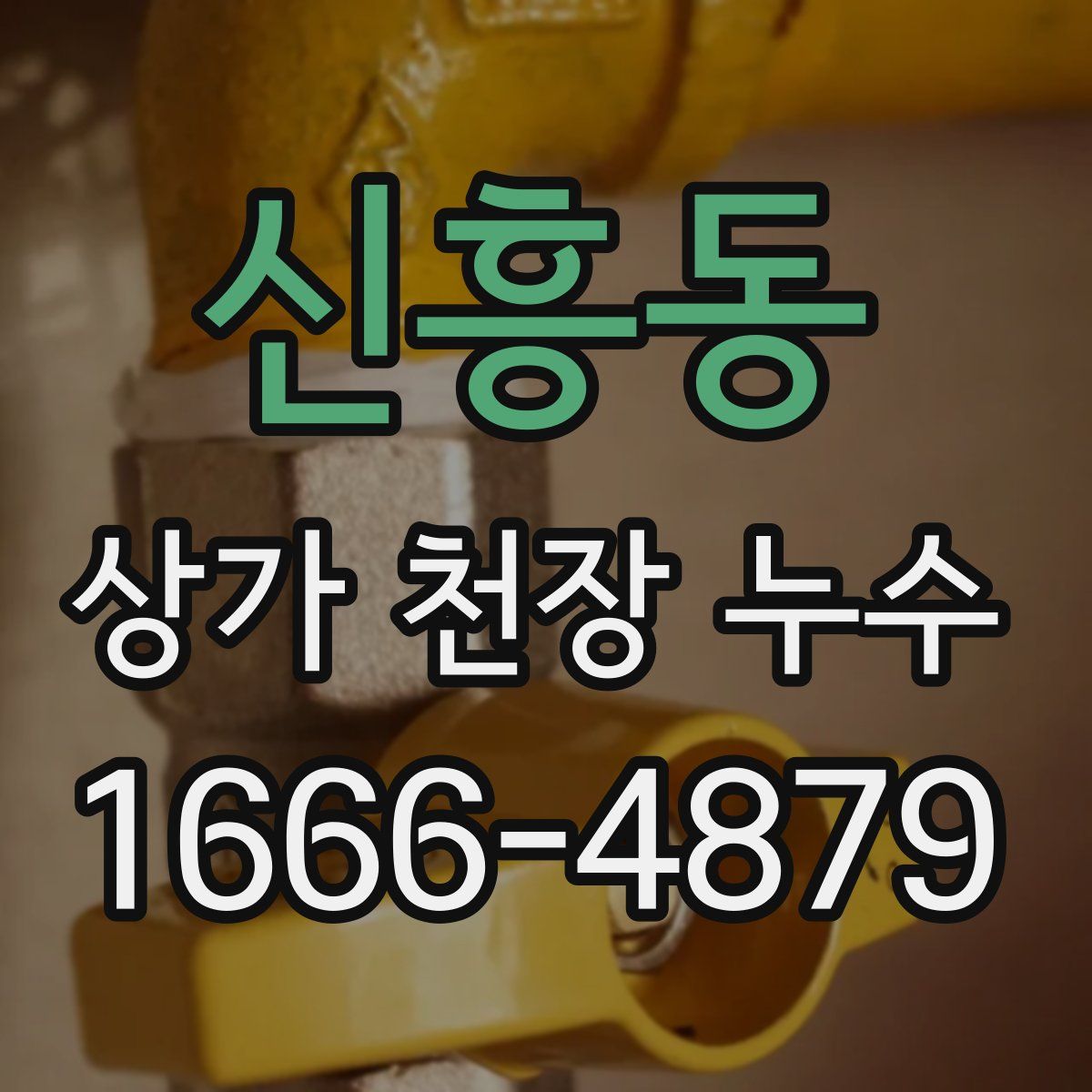 신흥동 상가 천장 누수