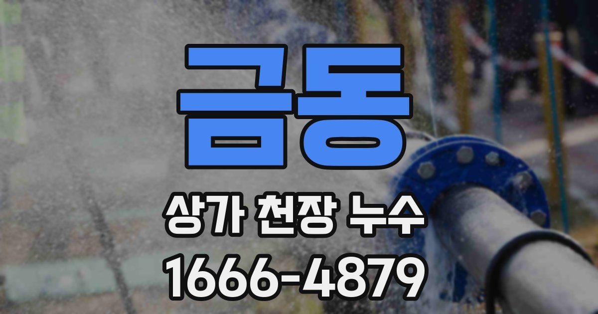 금동 상가 천장 누수