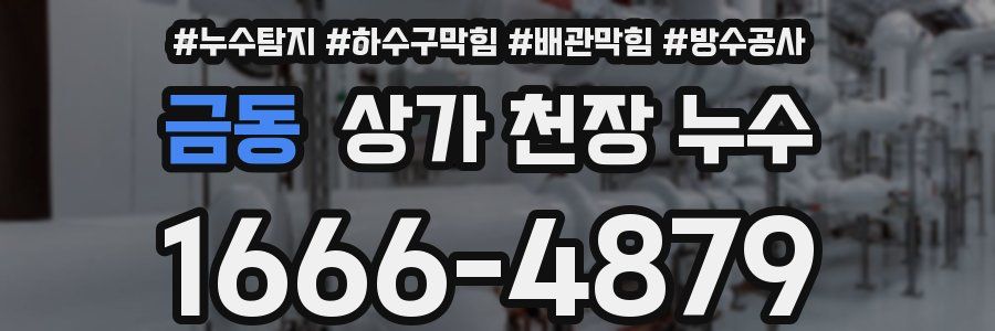 금동 상가 천장 누수