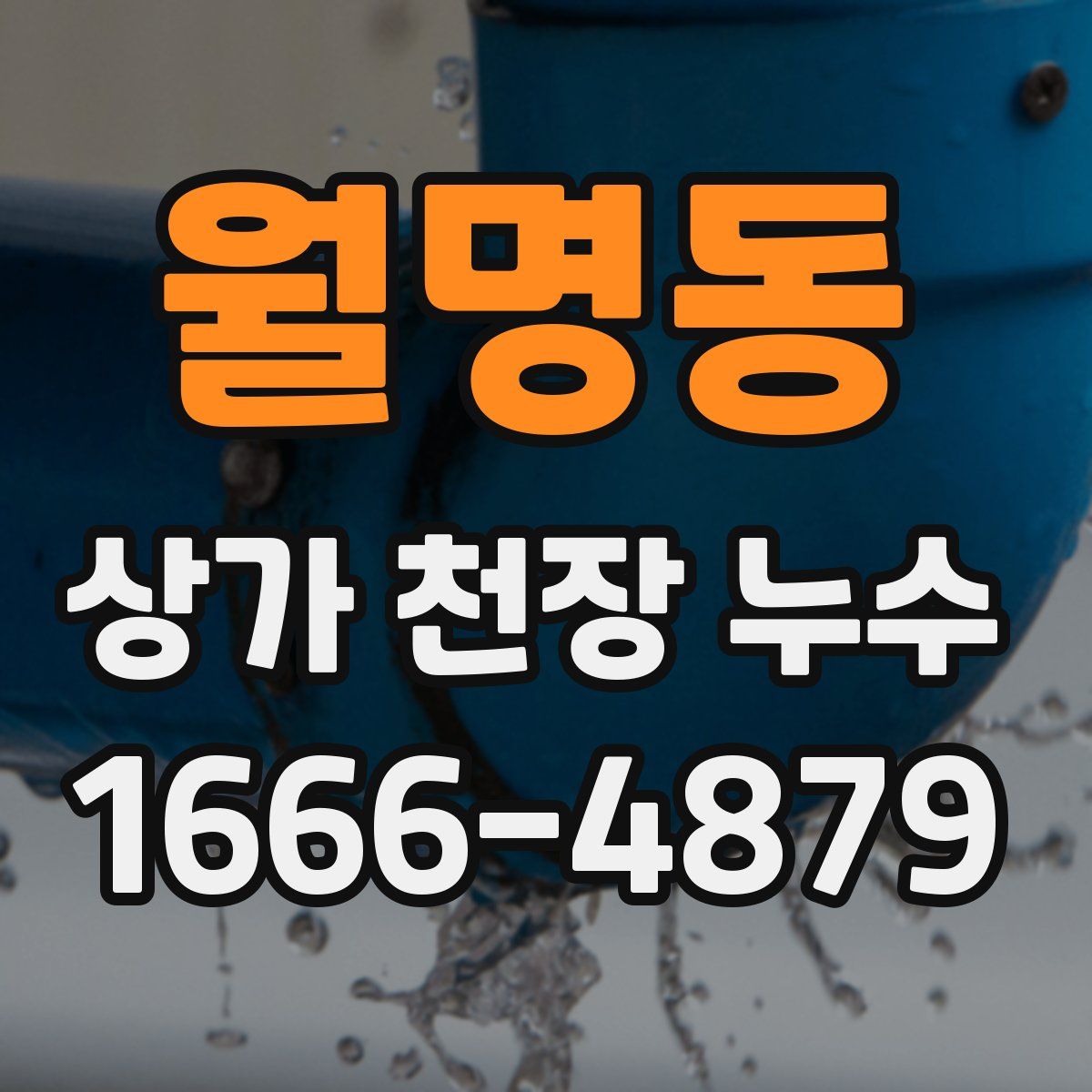 월명동 상가 천장 누수