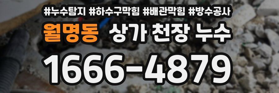 월명동 상가 천장 누수