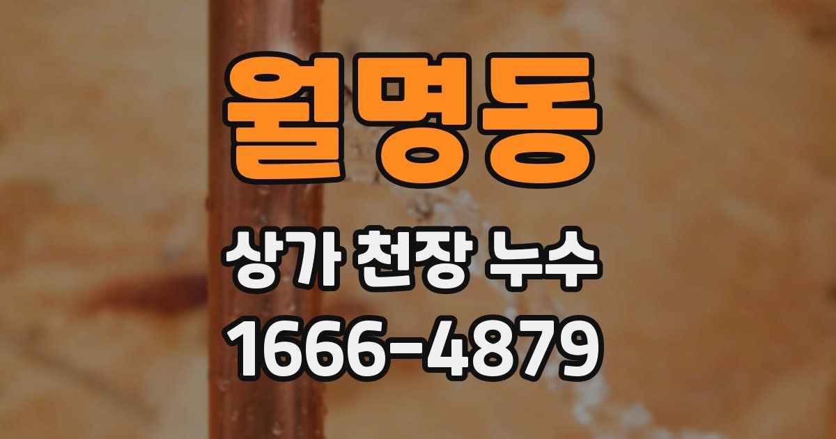 월명동 상가 천장 누수