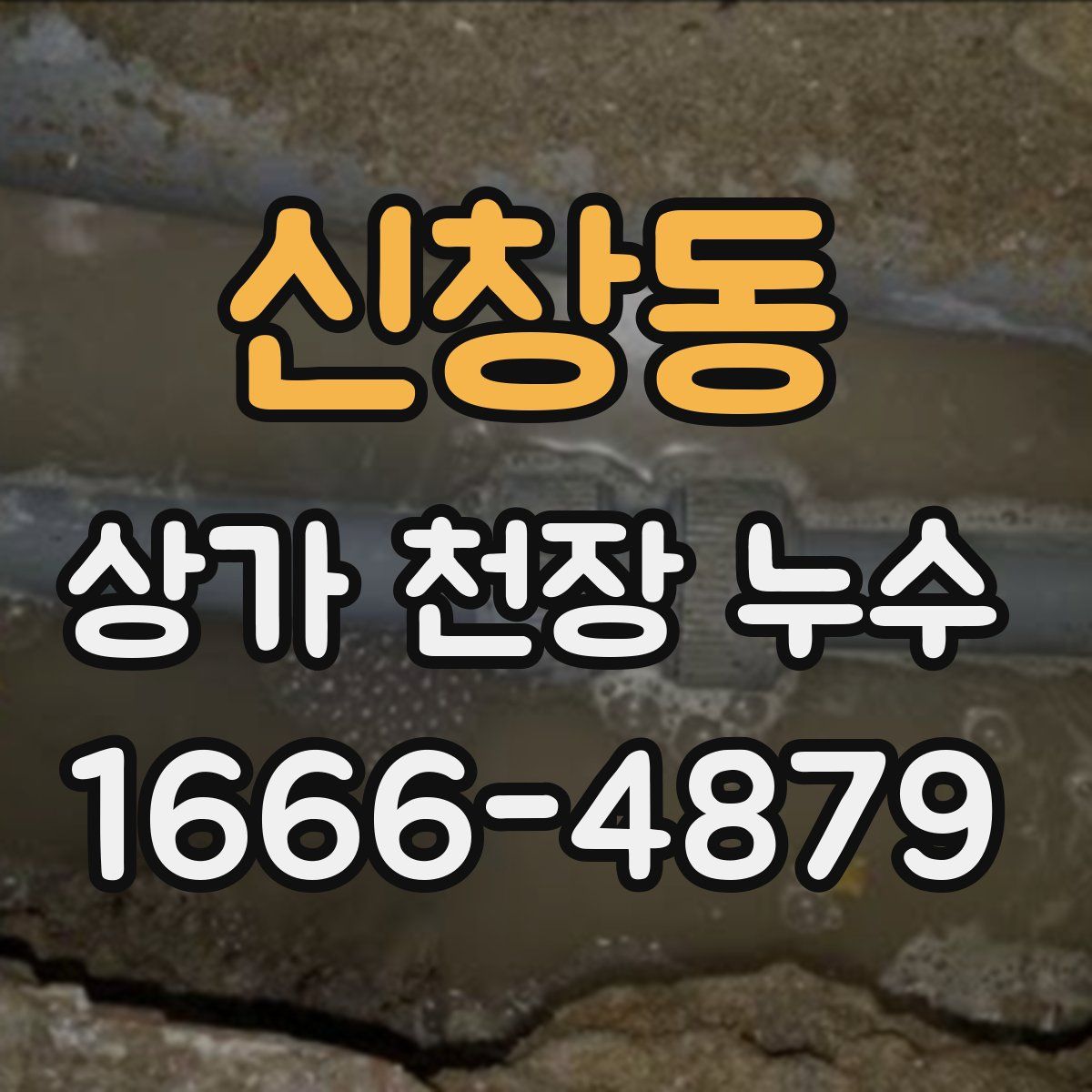 신창동 상가 천장 누수